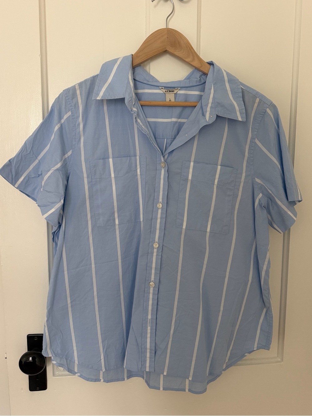 L.L. Bean Light Blue & White Vertical Stripe Short-Sleeve Button-Down Shirt